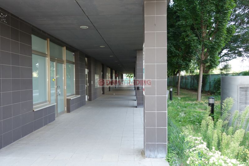 53.JPG